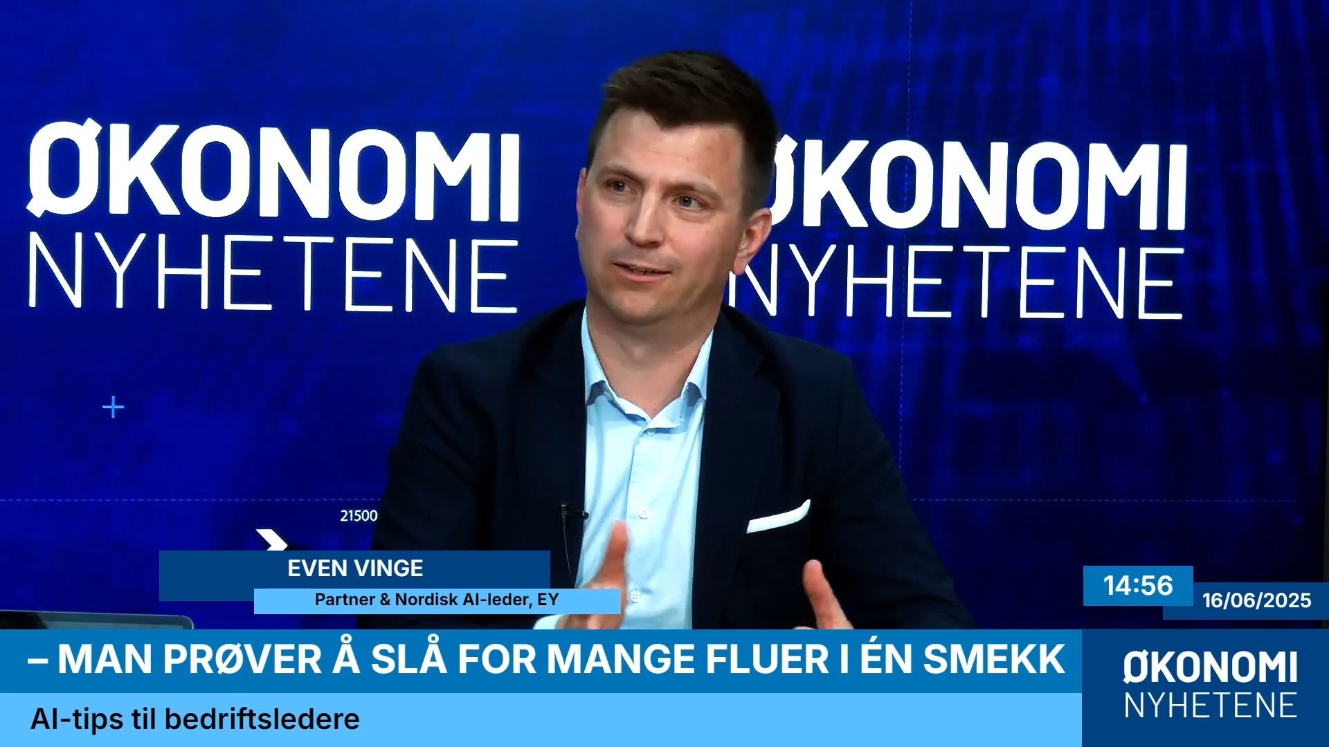 AI-rådgiver: – Man prøver å slå for mange fluer i én smekk